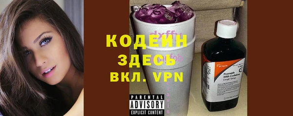 индика Балабаново
