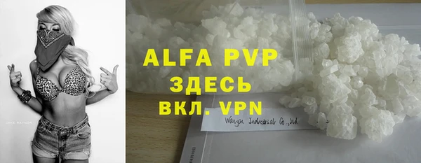 индика Балабаново