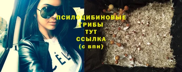 прущие грибы Баксан