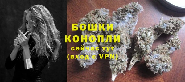 прущие грибы Баксан