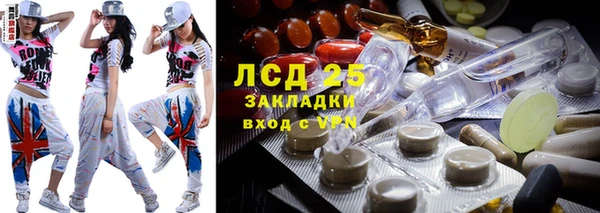 индика Балабаново