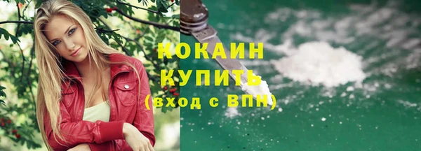 индика Балабаново