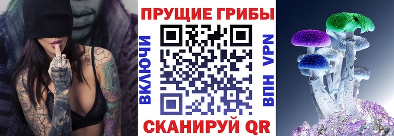 Псилоцибиновые грибы мухоморы  Козьмодемьянск 